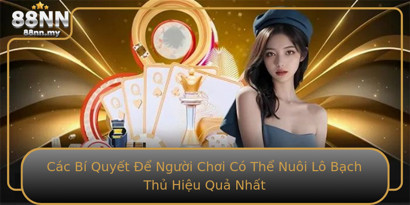 Các Bí Quyết Để Người Chơi Có Thể Nuôi Lô Bạch Thủ Hiệu Quả Nhất