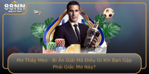 Mo Thay Meo Bi An Giai Ma Ieu Gi Khi Ban Gap Phai Giac Mo Nay